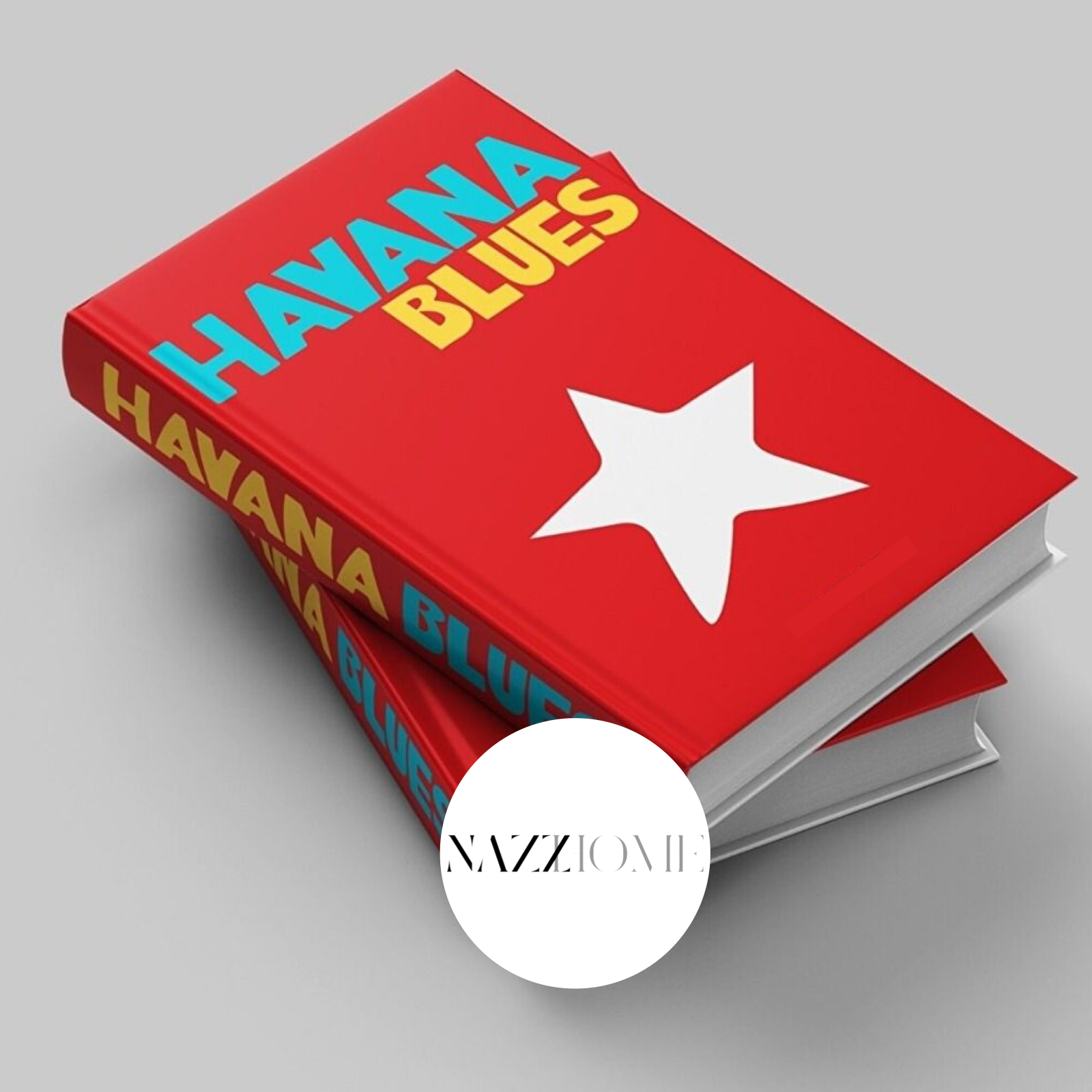 HAVANA BLUES TRAVEL VACATION LUXURY OPENABLE STORAGE BOOK BOX TABLE